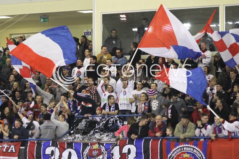  29.12.2012 SANOK HOKEJ NA LODZIE FINAL PUCHARU POLSKI MECZ CIARKO PBS BANK SANOK - JKH GKS JASTRZEBIE N/Z KIBICE FLAGI RADOSC  