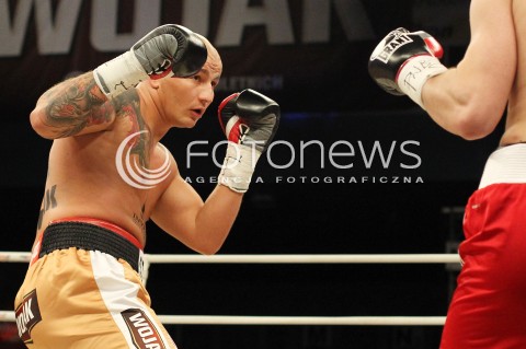  20.04.2013 RZESZOW BOKS BOXING GALA BOKSU WOJAK BOXING NIGHT W RZESZOWIE N/Z ARTUR SZPILKA TARAS BIDENKO BYDENKO WALKA  