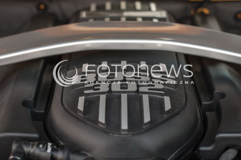  11.08.2013 WARSZAWA MUSTANG RACE 2013  