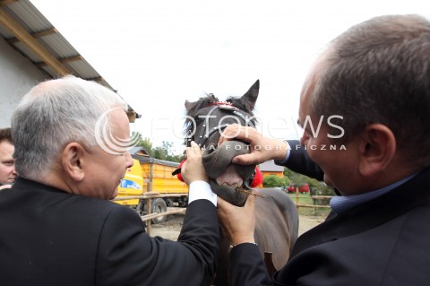  05.09.2013 PASZCZYNA<br />PREZES PIS JAROSLAW KACZYNSKI NA PODKARPACIU<br />SPOTKANIE W GOSPODARSTWIE ROLNYM W PASZCZYNIE KOLO DEBICY<br />WSPIERA SWOJEGO KANDYDATA NA SENATORA ZDZISLAWA PUPE<br />N/Z JAROSLAW KACZYNSKI I ZDZISLAW PUPA SPRAWDZAJA UZEBIENIE U KONIA KON <br /> 