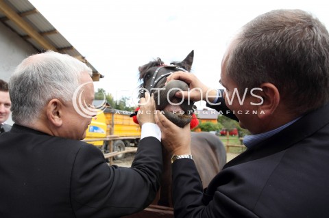  05.09.2013 PASZCZYNA<br />PREZES PIS JAROSLAW KACZYNSKI NA PODKARPACIU<br />SPOTKANIE W GOSPODARSTWIE ROLNYM W PASZCZYNIE KOLO DEBICY<br />WSPIERA SWOJEGO KANDYDATA NA SENATORA ZDZISLAWA PUPE<br />N/Z JAROSLAW KACZYNSKI I ZDZISLAW PUPA SPRAWDZAJA UZEBIENIE U KONIA KON <br /> 