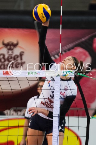  29.11.2013 LODZSIATKOWKA ORLEN LIGA SEZON 2013/2014 VOLLEYBALL POLISH SEASON BUDOWLANI LODZ - POLSKI CUKIER MUSZYNIANKA FAKRO BANK BPS MUSZYNA N/Z TABITHA LOVE SYLWETKA   