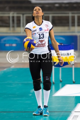  20.12.2013 LODZ SIATKOWKA ORLEN LIGA SEZON 2013/2014 VOLLEYBALL POLISH SEASON BEEF MASTER BUDOWLANI LODZ - PGNIG NAFTA PILA N/Z NORIS CABRERA SYLWETKA   