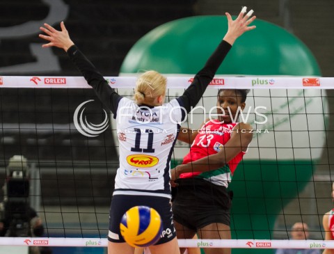  20.12.2013 LODZ SIATKOWKA ORLEN LIGA SEZON 2013/2014 VOLLEYBALL POLISH SEASON BEEF MASTER BUDOWLANI LODZ - PGNIG NAFTA PILA N/Z FAIMIE ROSE KINGSLEY  