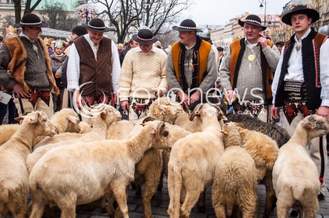 06.01.2014 WARSZAWA ORSZAK TRZECH KROLI W WARSZAWIE N/Z ORSZAK OWCE BACA BACOWIE  