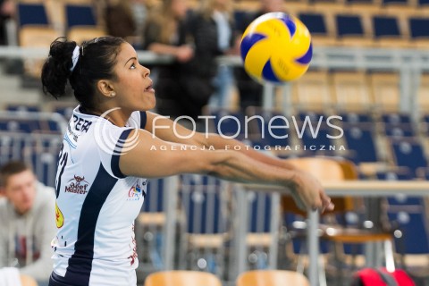  08.01.2014 LODZ SIATKOWKA ORLEN LIGA SEZON 2013/2014 VOLLEYBALL POLISH SEASON BEEF MASTER BUDOWLANI LODZ - KPS CHEMIK POLICE N/Z NORIS CABRERA SYLWETKA  