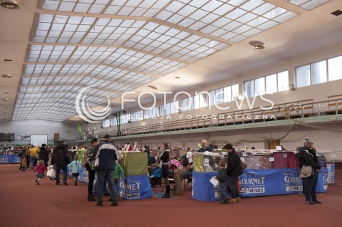  12.01.2014 WARSZAWA<br />WYSTAWA KOTOW RASOWYCH W WARSZAWIE<br />N/Z WYSTAWA<br /> 