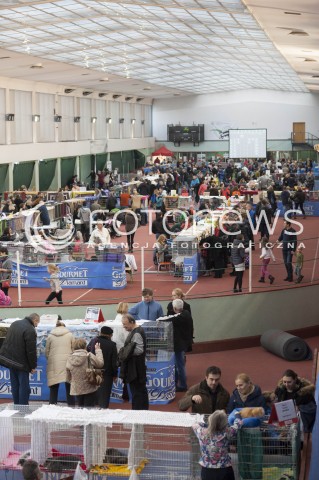  12.01.2014 WARSZAWA<br />WYSTAWA KOTOW RASOWYCH W WARSZAWIE<br />N/Z WYSTAWA<br /> 