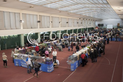  12.01.2014 WARSZAWA<br />WYSTAWA KOTOW RASOWYCH W WARSZAWIE<br />N/Z WYSTAWA<br /> 