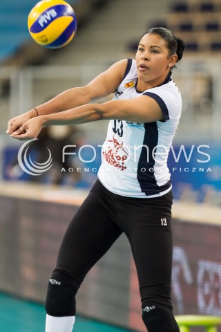  03.02.2014 LODZ SIATKOWKA ORLEN LIGA SEZON 2013/2014 VOLLEYBALL POLISH SEASON BEEF MASTER BUDOWLANI LODZ - TAURON MKS DABROWA GORNICZA N/Z NORIS CABRERA SYLWETKA  