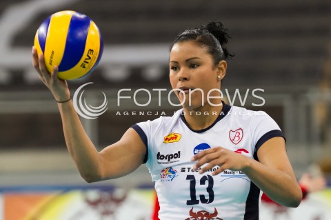  11.02.2014 LODZ SIATKOWKA ENEA CUP PUCHAR POLSKI 2013/2014 VOLLEYBALL POLISH SEASON BEEF MASTER BUDOWLANI LODZ - PGNIG NAFTA PILA N/Z NORIS CABRERA SYLWETKA   