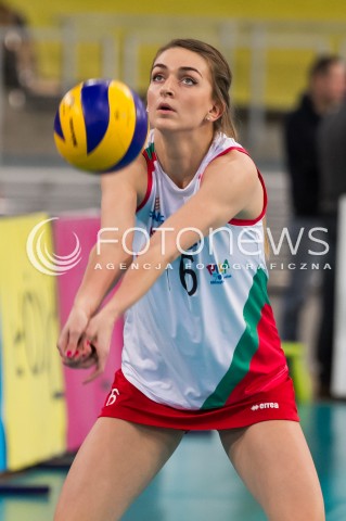  11.02.2014 LODZ SIATKOWKA ENEA CUP PUCHAR POLSKI 2013/2014 VOLLEYBALL POLISH SEASON BEEF MASTER BUDOWLANI LODZ - PGNIG NAFTA PILA N/Z MAGDALENA WAWRZYNIAK SYLWETKA   