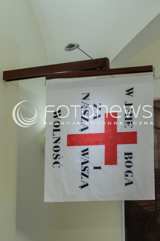  16.03.2014 WARSZAWA<br />
PALAC PREZYDENCKI W WARSZAWIE ZDJECIE ILUSTRACYJNE<br />
N/Z CHORAGIEW MANIFESTACYJNA Z POWSTANIA LISTOPADOWEGO<br />
 