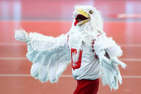  17.05.2014 WROCLAW <br />SIATKOWKA MEZCZYZN <br />TURNIEJ KWALIFIKACYJNY DO MISTRZOSTW EUROPY 2015<br />2015 FIVB WORLD CHAMPIONSHIP - EUROPEAN QUALIFICATION MEN <br />MECZ POLSKA - MACEDONIA ( POLAND - FYROM ) <br />N/Z ORZEL ORZELEK MASKOTKA OPRAWA DOPING <br /> 