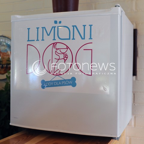  08.06.2013 WARSZAWA<br />W WARSZAWIE POWSTALA PIERWSZA LODZIARNIA DLA PSOW - LIMONI DOG<br />N/Z LODZIARNIA<br /> 