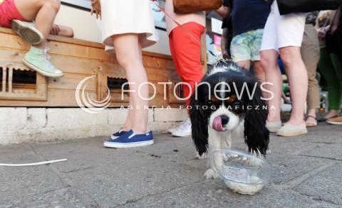W Warszawie otworzono pierwszą lodziarnię dla psów