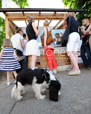  08.06.2013 WARSZAWA<br />W WARSZAWIE POWSTALA PIERWSZA LODZIARNIA DLA PSOW - LIMONI DOG<br />N/Z PIES KONSUMUJACY LODY<br /> 