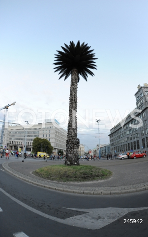  19.06.2014 WARSZAWA<br />BICIE REKORDU GUINNESSA W ROLKACH<br />N/Z PALMA NA RONDZIE DEGAULLE'A<br /> 