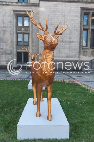  16.07.2014 WARSZAWA<br />INSTALACJA AUDIO WIZUALNA ZLOTE JELENIE PRZED TEATREM DRAMATYCZNYM<br />N/Z JELENIE<br /> 