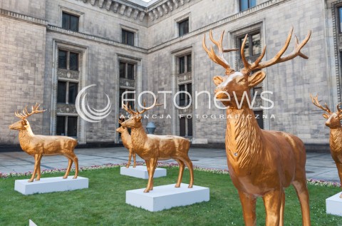  16.07.2014 WARSZAWA<br />INSTALACJA AUDIO WIZUALNA ZLOTE JELENIE PRZED TEATREM DRAMATYCZNYM<br />N/Z JELENIE<br /> 