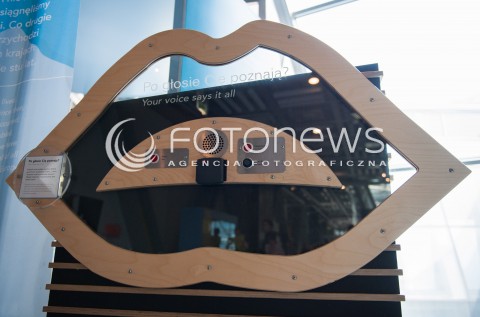  29.07 2014 WARSZAWA<br />ZDJECIE ILUSTRACYJNE<br />CENTRUM NAUKI KOPERNIK<br />N/Z WYSTAWA<br /> 