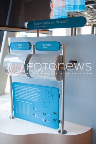  29.07 2014 WARSZAWA<br />ZDJECIE ILUSTRACYJNE<br />CENTRUM NAUKI KOPERNIK<br />N/Z WYSTAWA<br /> 