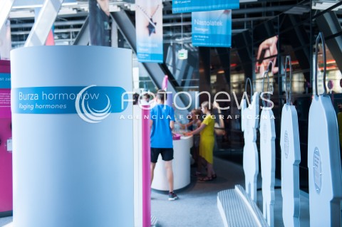  29.07 2014 WARSZAWA<br />ZDJECIE ILUSTRACYJNE<br />CENTRUM NAUKI KOPERNIK<br />N/Z WYSTAWA<br /> 