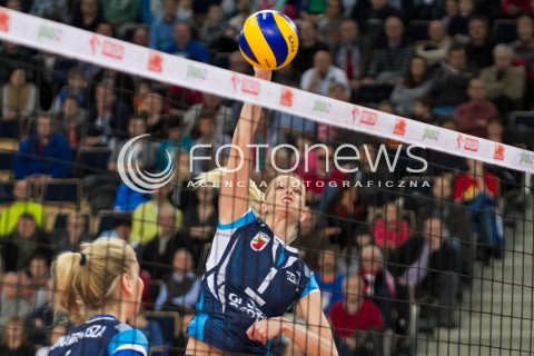  15.11.2014 LODZ SIATKOWKA ORLEN LIGA SEZON 2014/2015 VOLLEYBALL POLISH SEASON BEEF MASTER BUDOWLANI LODZ - KPS CHEMIK POLICE N/Z ANNA WERBLINSKA  