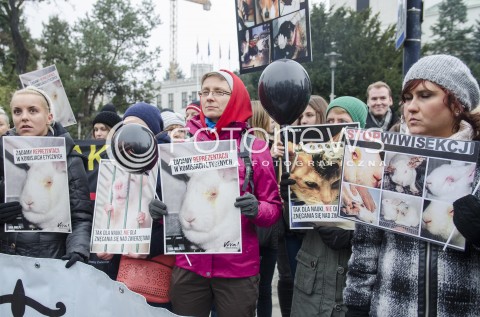  26.11.2014 WARSZAWA <br />PROTEST POD SEJMEM PRZECIWKO PRZEMOCY NA ZWIERZETACH  <br />N/Z PROTEST<br /> 
