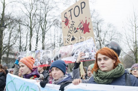  26.11.2014 WARSZAWA <br />PROTEST POD SEJMEM PRZECIWKO PRZEMOCY NA ZWIERZETACH  <br />N/Z PROTEST<br /> 
