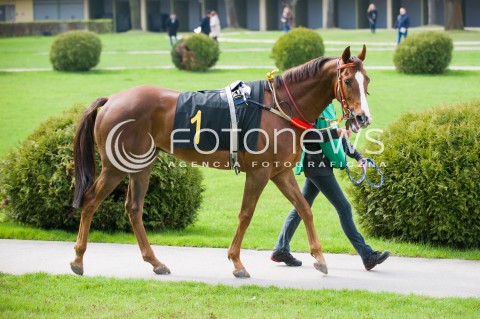  19.04.2015 WARSZAWA TOR SLUZEWIEC<br />OTWARCIE SEZONU WYSCIGOW KONNYCH 2015<br />N/Z PREZENTACJA KONI PRZED WYSCIGIEM<br /> 