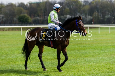  19.04.2015 WARSZAWA TOR SLUZEWIEC<br />OTWARCIE SEZONU WYSCIGOW KONNYCH 2015<br />N/Z PREZENRACJA KONI PRZED WYSCIGIEM<br /> 