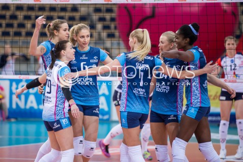  16.11.2015 LODZ SIATKOWKA ORLEN LIGA SEZON 2015/2016 VOLLEYBALL POLISH SEASON <br />
BEEF MASTER BUDOWLANI LODZ - KPS CHEMIK POLICE N/Z  RADOSC EMOCJE<br />
 