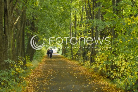 Złota polska jesień