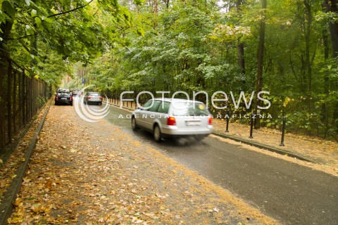  14.10.2016 KONSTANCIN JEZIORNA <br />ZDJECIE ILUSTRACYJNE <br />LISCIE NA JEZDNI <br />N/Z LISCIE NA JEZDNI STWAZAJA NIEBEZPIECZENSTWO POSLIZGU<br /> 