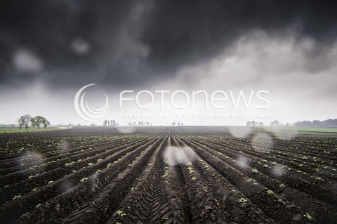  18.10.2016 MAZOWSZE <br />ZDJECIE ILUSTRACYJNE <br />JESIENNA POGODA <br />N/Z ZAORANE POLE PRZED DESZCZEM<br /> 