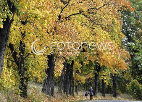  18.10.2016 MAZOWSZE <br />ZDJECIE ILUSTRACYJNE <br />JESIENNY SPACER<br />N/Z JESIENNY SPACER W PARKU<br /> 