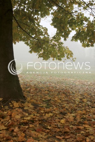  18.10.2016 MAZOWSZE <br />ZDJECIE ILUSTRACYJNE <br />JESIEN W PARKU<br />N/Z OBRAZ JESIENNEGO DRZEWA W PARKU<br /> 