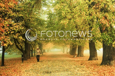 Kolory jesieni na Mazowszu