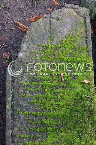  23.10.2016 CMENTARZ KOMUNALNY W PIASECZNIE<br />ZDJECIE ILUSTRACYJNE<br />N/Z ZNISZCZONY NAGROBEK POROSNIETY MCHEM<br /> 