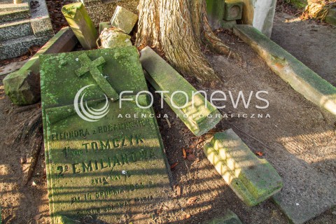  23.10.2016 CMENTARZ KOMUNALNY W PIASECZNIE<br />ZDJECIE ILUSTRACYJNE<br />N/Z ZNISZCZONY NAGROBEK POROSNIETY MCHEM<br /> 