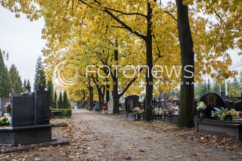  23.10.2016 CMENTARZ KOMUNALNY W PIASECZNIE<br />ZDJECIE ILUSTRACYJNE<br />N/Z NAGROBKI NA CMENTARZU KOMUNALNYM W PIASECZNIE<br /> 