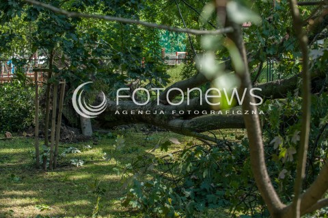  29.06.2017 WARSZAWA<br />EFEKTY BURZY<br />N/Z POWALONE DRZEWO CHODNIK<br /> 