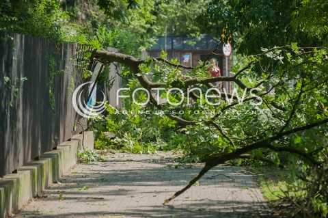  29.06.2017 WARSZAWA<br />EFEKTY BURZY<br />N/Z POWALONE DRZEWO CHODNIK<br /> 