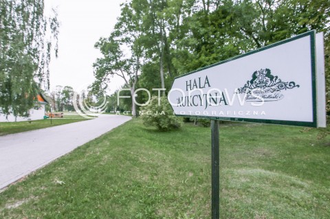  08.08.2017 JANOW PODLASKI<br />STADNINA KONI <br />ZDJECIE ILUSTRACYJNE<br />N/Z ZNAK WSKAZUJACY MIEJSCE AUKCJI KONI NA TERENIE KOMPLEKSU STADNINY <br /> 