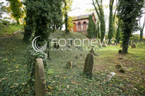  29.10.2017 CIESZYN <br />KIRKUT WPISANY DO REJESTRU ZABYTKOW <br />ZDJECIE ILUSTRACYJNE <br />N/Z MACEWY NA CMENTARZU WSROD JESIENNYCH LISCI<br /> 