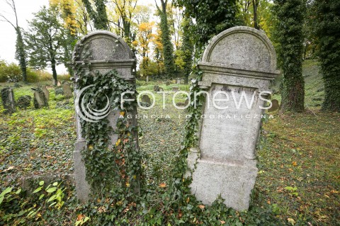  29.10.2017 CIESZYN <br />KIRKUT WPISANY DO REJESTRU ZABYTKOW <br />ZDJECIE ILUSTRACYJNE <br />N/Z MACEWY NA CMENTARZU WSROD JESIENNYCH LISCI<br /> 