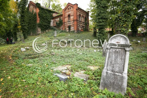  29.10.2017 CIESZYN <br />KIRKUT WPISANY DO REJESTRU ZABYTKOW <br />ZDJECIE ILUSTRACYJNE <br />N/Z MACEWY NA CMENTARZU WSROD JESIENNYCH LISCI<br /> 