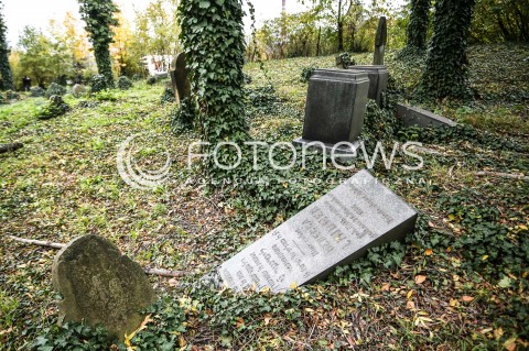  29.10.2017 CIESZYN <br />KIRKUT WPISANY DO REJESTRU ZABYTKOW <br />ZDJECIE ILUSTRACYJNE <br />N/Z MACEWY NA CMENTARZU WSROD JESIENNYCH LISCI<br /> 