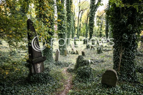  29.10.2017 CIESZYN <br />KIRKUT WPISANY DO REJESTRU ZABYTKOW <br />ZDJECIE ILUSTRACYJNE <br />N/Z MACEWY NA CMENTARZU WSROD JESIENNYCH LISCI<br /> 